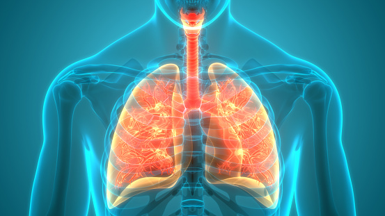 Falta de conhecimento sobre os sintomas da Fibrose Pulmonar compromete o diagnóstico precoce da doença