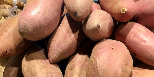 Batata-Doce de Aljezur e Laranja do Algarve terão episódio dedicado na nova série "Heróis da Fruta" da APCOI