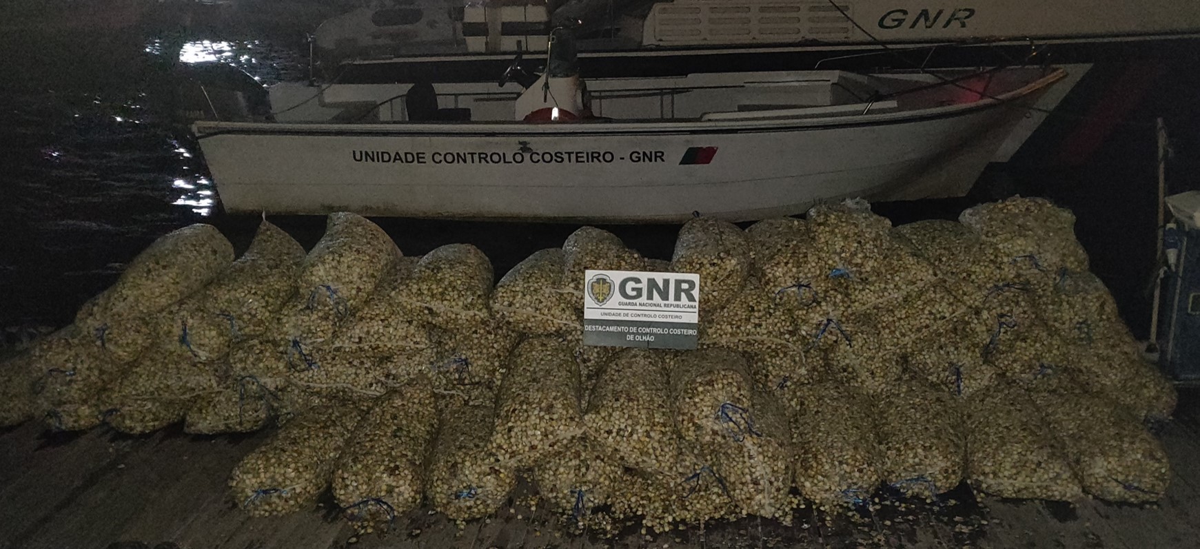 GNR apreendeu 9 toneladas de bivalves em situação irregular no Algarve