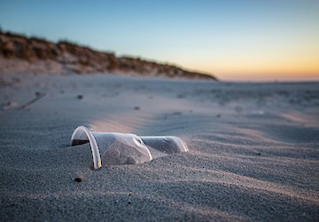 Decretadas novas medidas para redução do impacto do plástico no meio ambiente
