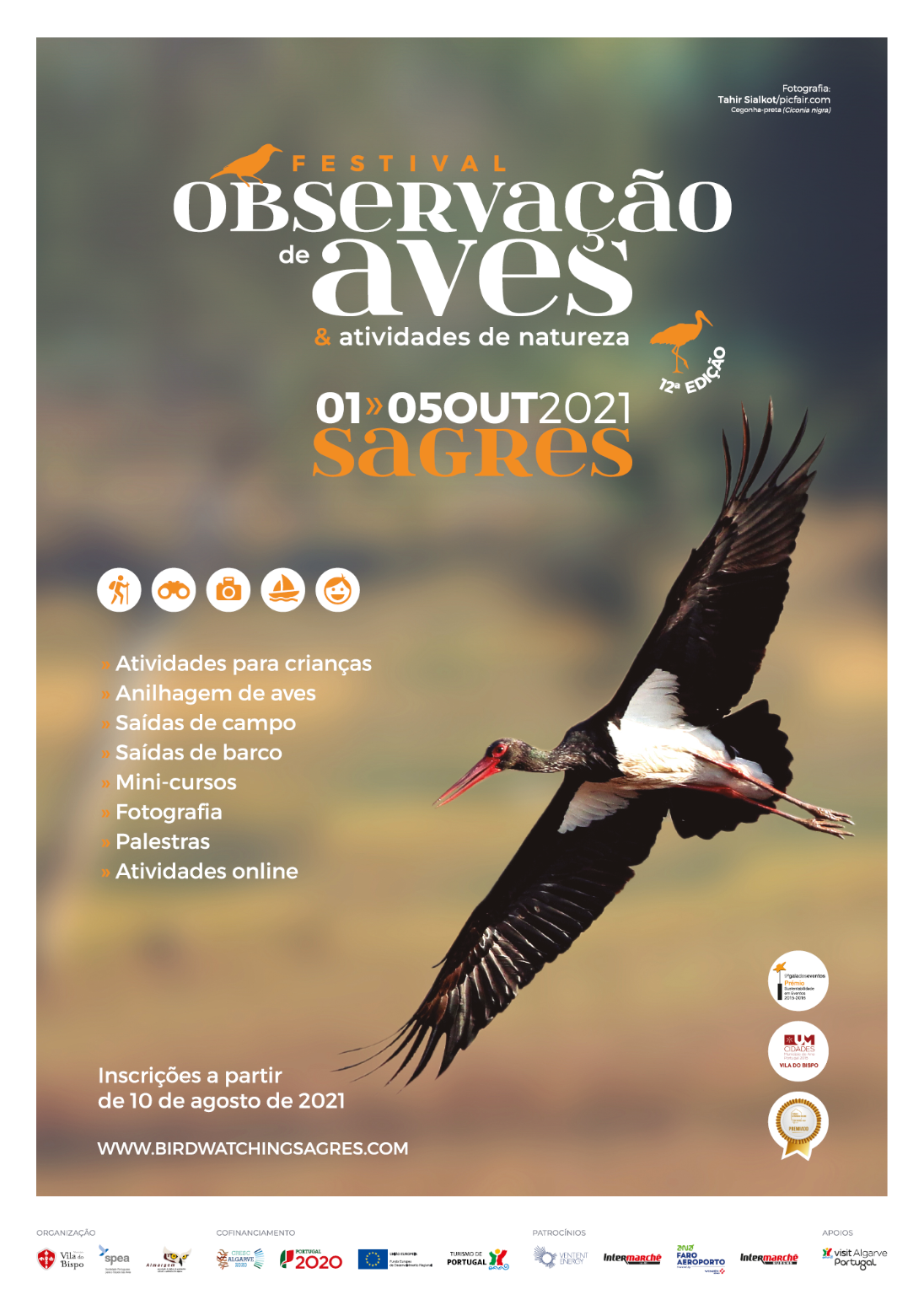 Festival de Observação de Aves & Actividades de Natureza de Sagres regressa já esta semana