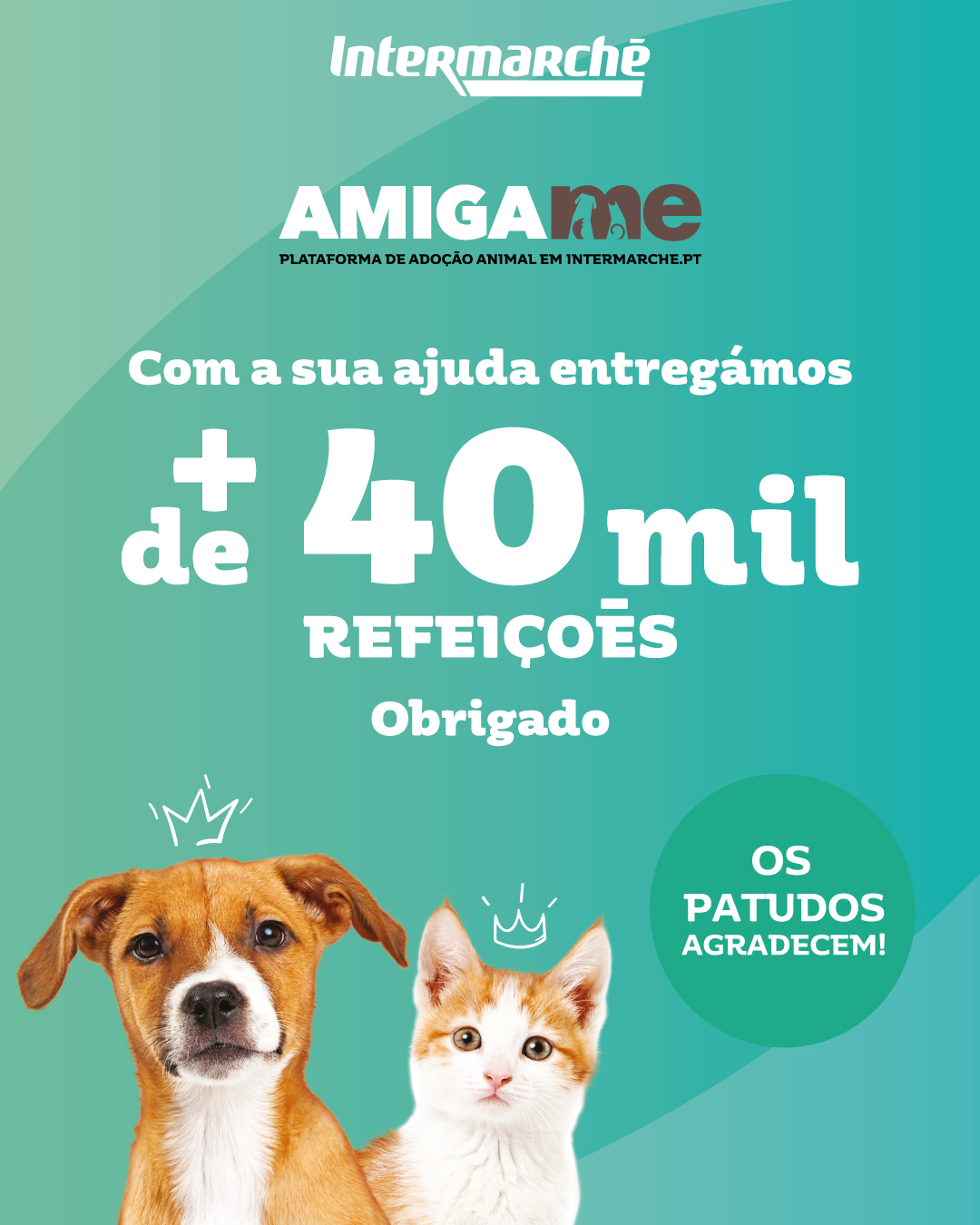 Campanha "Amiga-me" do Intermarché angaria mais de 40 mil refeições para animais abandonados