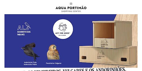 AQUA Portimão promove a fixação de aves em meios urbanos e torna-se Alojamento Local para Aves