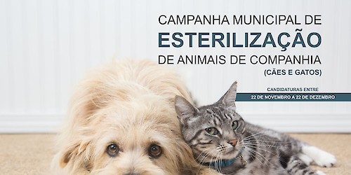 Município de Lagos promove nova campanha de esterilização de animais de companhia