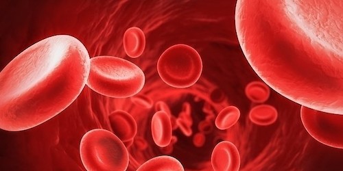 Deficiência de ferro afecta cerca de 32% dos portugueses, mas País continua à espera de estratégia nacional para prevenir e tratar a anemia