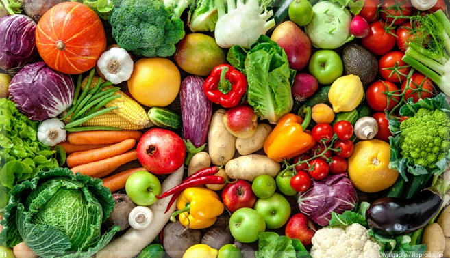 Nutricionistas aplaudem Plano Nacional da Alimentação Equilibrada e Sustentável