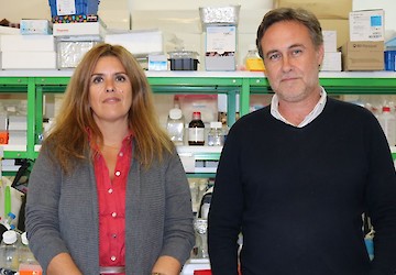 Estudo da Universidade de Coimbra revela como a doença de Parkinson pode ter origem no intestino