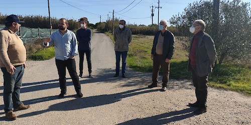 Bloco quer apoios para promover a agricultura sustentável e defender os pequenos produtores