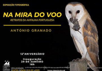 No dia do seu 12º aniversário, o Centro Ciência Viva de Lagos inaugura exposição fotográfica de aves