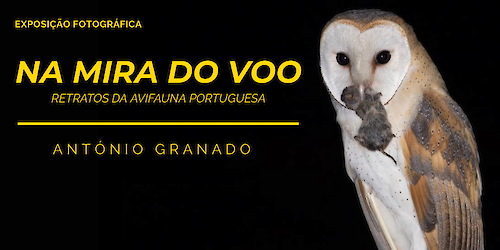 No dia do seu 12º aniversário, o Centro Ciência Viva de Lagos inaugura exposição fotográfica de aves