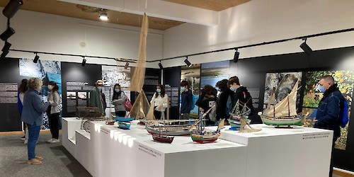 Nova exposição sobre a ria formosa tem turismo do Algarve como promotor