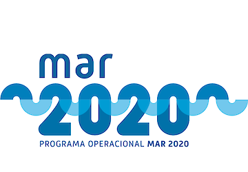 Algarve apresenta cerca de sete centenas de candidaturas aprovadas no MAR2020
